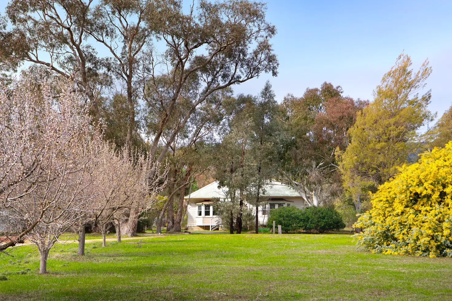 Main view of Homely house listing, 196 Eagles Road, Harcourt VIC 3453