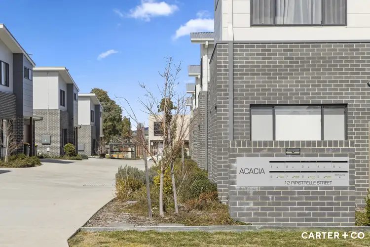 Second view of Homely townhouse listing, 7/12 Pipistrelle Street, Throsby ACT 2914