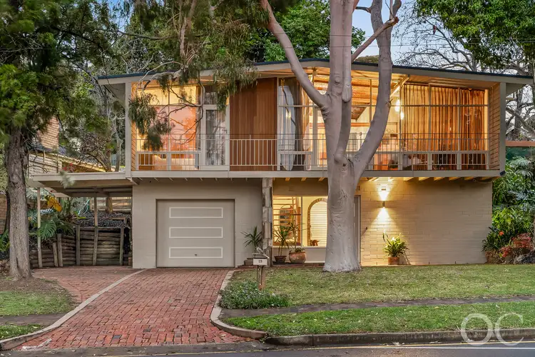 19 Penfold Street, Bedford Park SA 5042