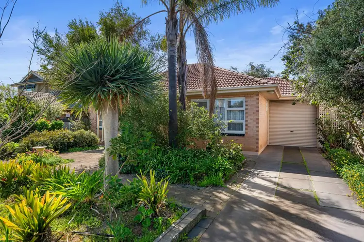 56 Illawarra Avenue, Hove SA 5048