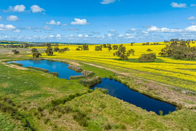 Second view of Homely rural property listing, 3903 Dandaragan Road, Dandaragan WA 6507