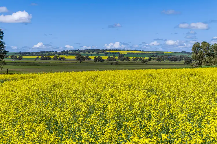 Fourth view of Homely rural property listing, 3903 Dandaragan Road, Dandaragan WA 6507