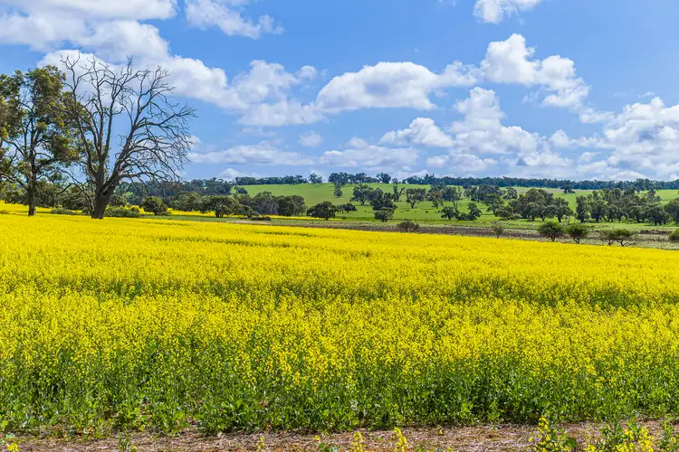 Fifth view of Homely rural property listing, 3903 Dandaragan Road, Dandaragan WA 6507