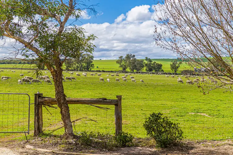Seventh view of Homely rural property listing, 3903 Dandaragan Road, Dandaragan WA 6507