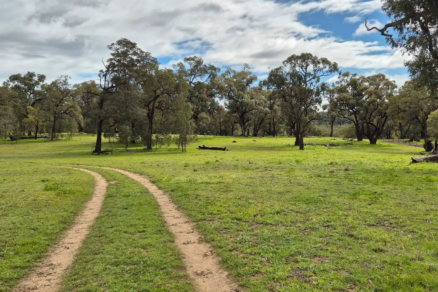 Main view of Homely house listing, 197 Millbank Road, Cowalla WA 6503