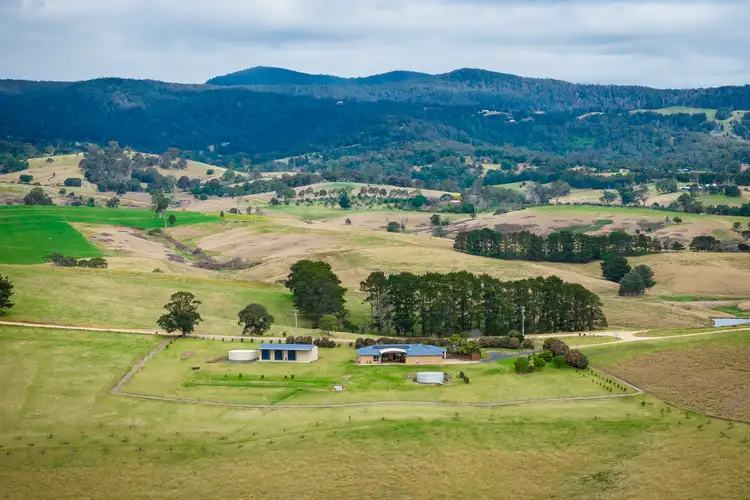 Second view of Homely house listing, 149 Towridgee Lane, Candelo NSW 2550