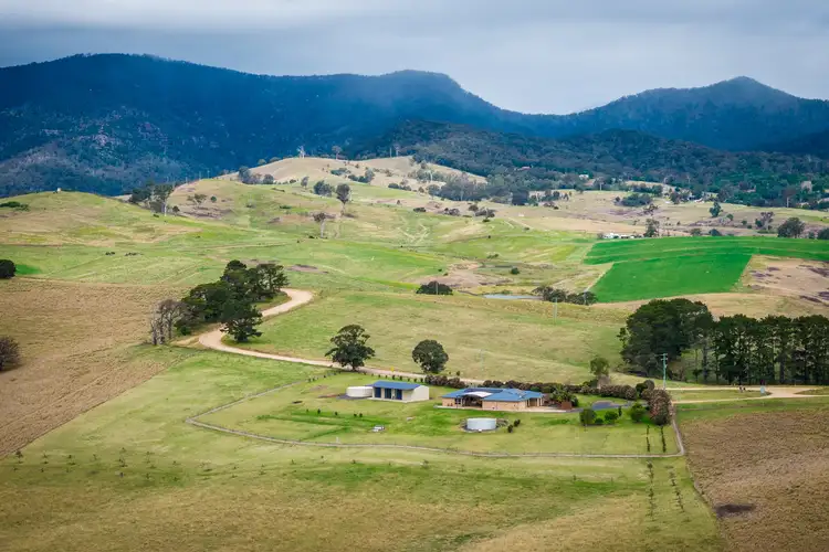Third view of Homely house listing, 149 Towridgee Lane, Candelo NSW 2550