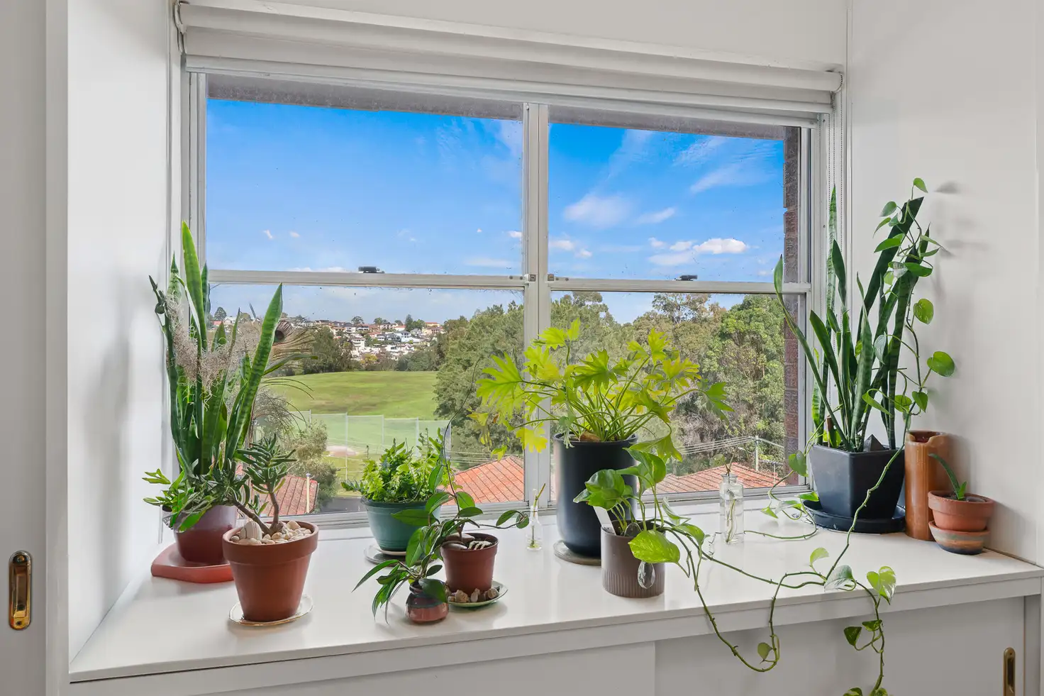 Main view of Homely apartment listing, 40/85 Beauchamp Street, Marrickville NSW 2204