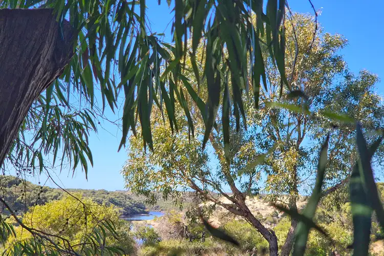 Fifth view of Homely land listing, 39 Whitfield Street, Guilderton WA 6041