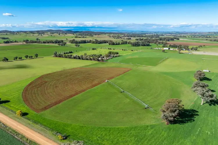 164 Settlement Bridge Road, Canowindra NSW 2804