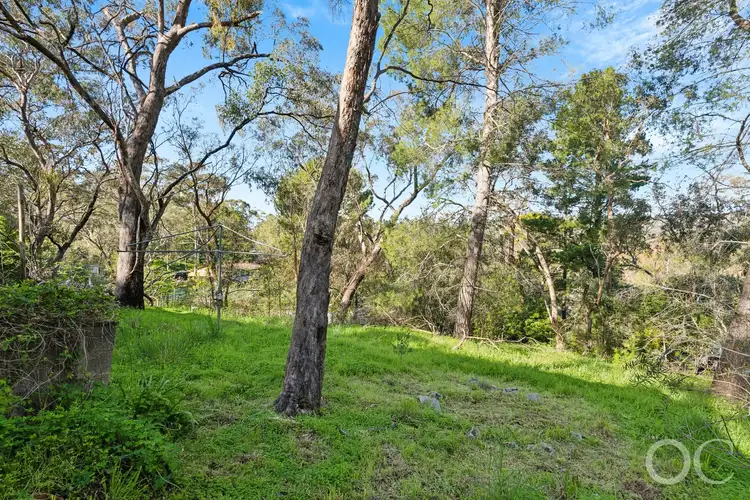 Fifth view of Homely house listing, 46 Sycamore Crescent, Hawthorndene SA 5051