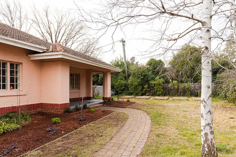 41 Batman Street, Braddon ACT 2612