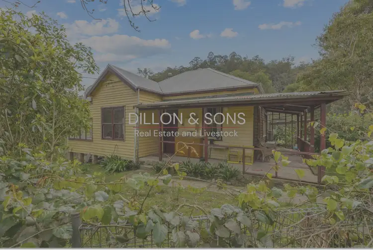229 Moylans Road, Dungog NSW 2420