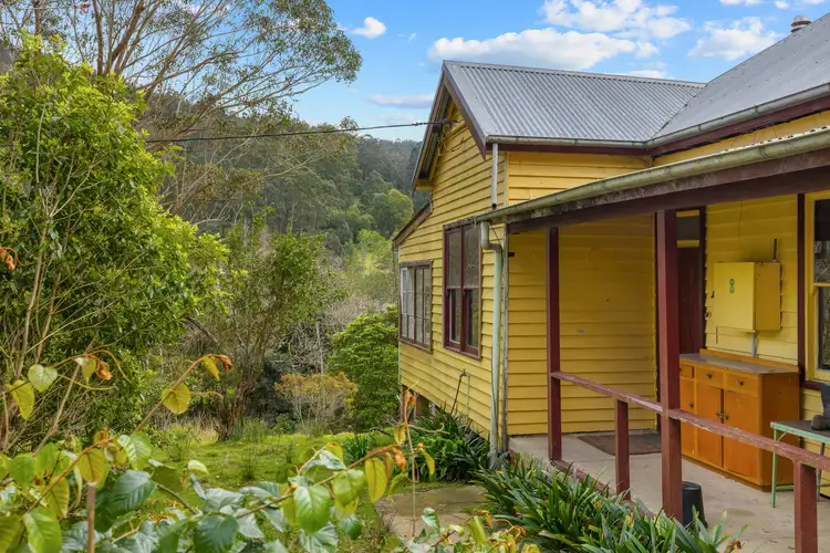 229 Moylans Road, Dungog NSW 2420