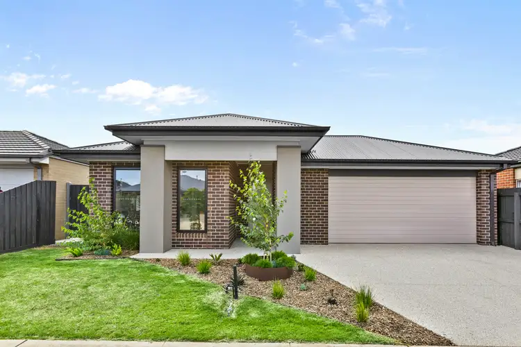 Main view of Homely house listing, 12 Felix Street, St Leonards VIC 3223