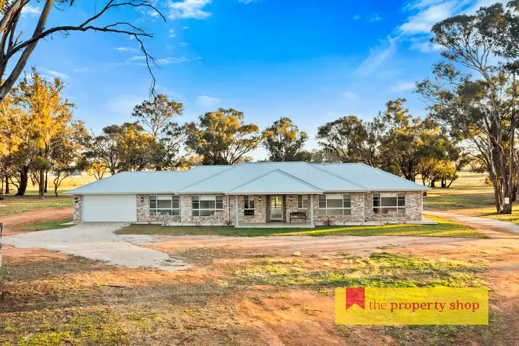 111 Adams Lead Road, Gulgong NSW 2852