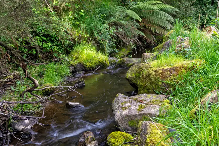 Sixth view of Homely land listing, 9 Bobs Road, Oyster Cove TAS 7150