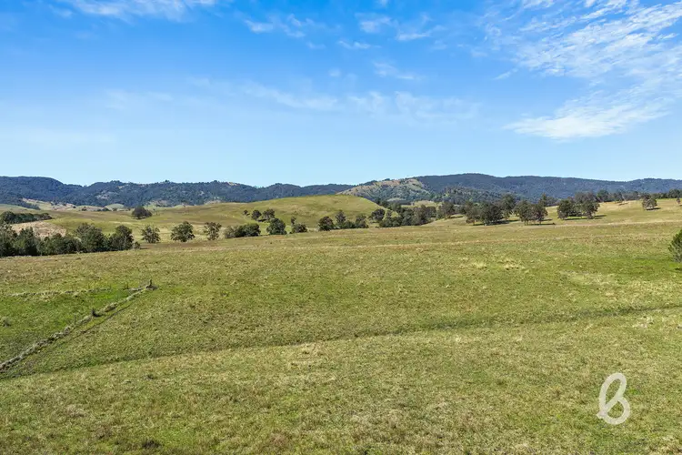 Fourth view of Homely rural property listing, Lot 131 Manresa Park Road, Glendon Brook NSW 2330