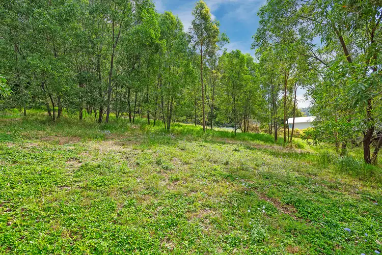 Seventh view of Homely land listing, 45 Bluetail Crescent, Upper Coomera QLD 4209