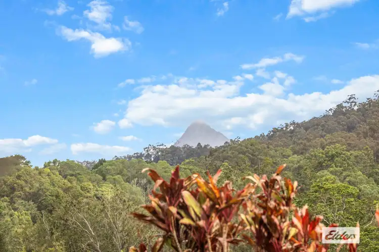 Third view of Homely house listing, 1269 Numinbah Road, Chillingham NSW 2484
