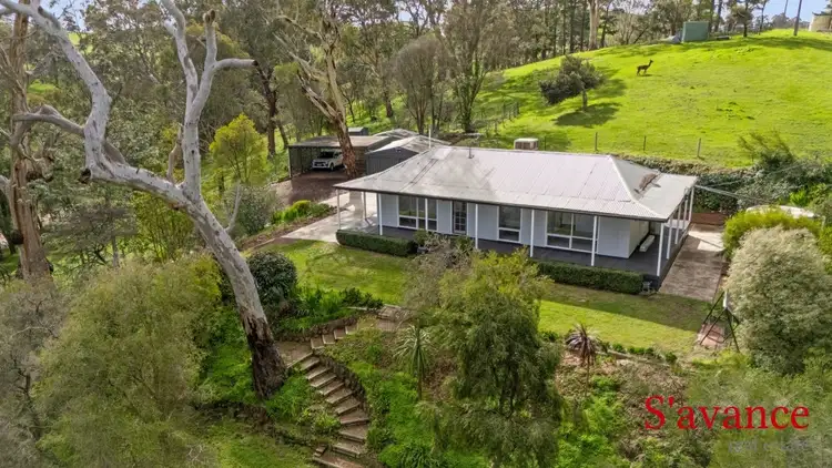 Main view of Homely rural property listing, 97 Alexander Forrest Road, Forreston SA 5233
