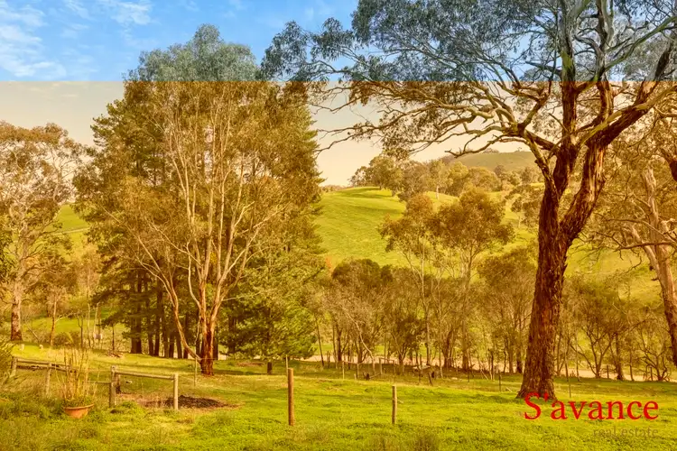 Third view of Homely rural property listing, 97 Alexander Forrest Road, Forreston SA 5233