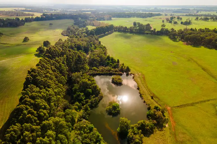 131 Price Road, Chapman Hill WA 6280