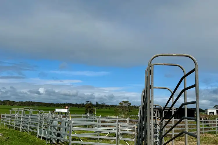 Fourth view of Homely rural property listing, 181 Cobden-Terang Road, Cobden VIC 3266
