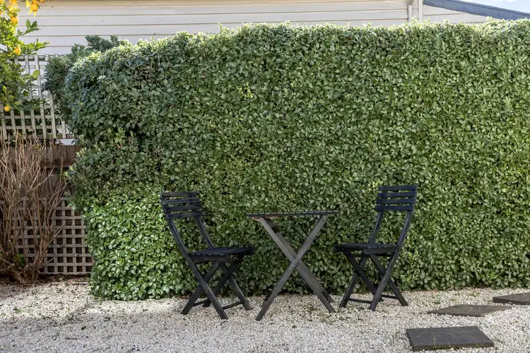 Sixth view of Homely house listing, 13a Lawrence Street, Launceston TAS 7250