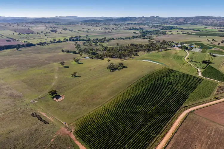 319 Tinja Lane, Mudgee NSW 2850