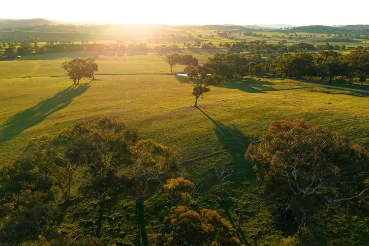 Third view of Homely rural property listing, 319 Tinja Lane, Mudgee NSW 2850