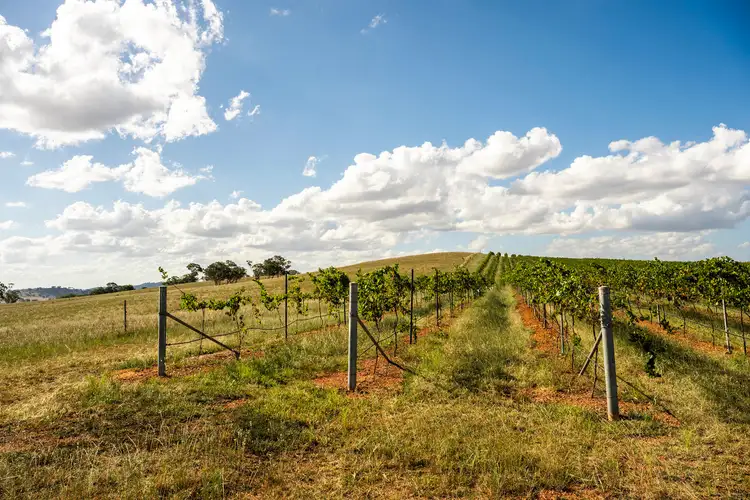 Fifth view of Homely rural property listing, 319 Tinja Lane, Mudgee NSW 2850