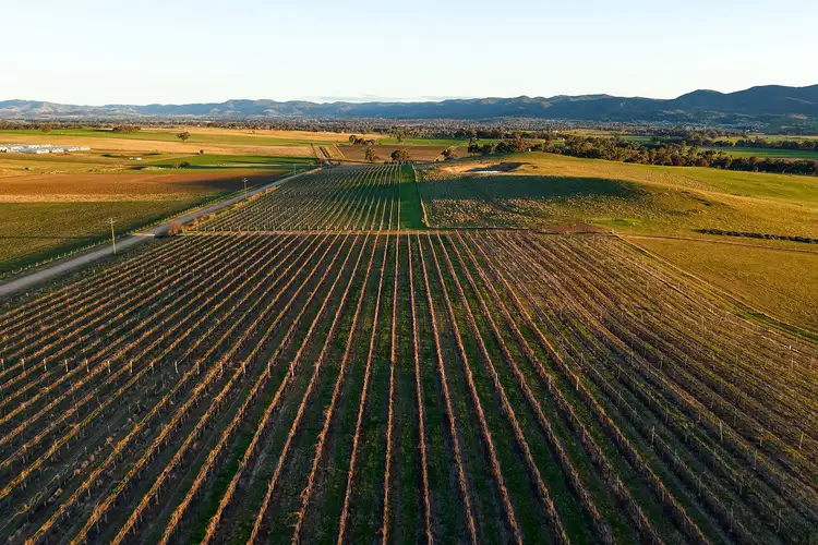 Sixth view of Homely rural property listing, 319 Tinja Lane, Mudgee NSW 2850