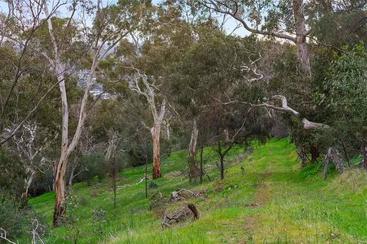 Fifth view of Homely land listing, 60 Gloucester Avenue, Belair SA 5052