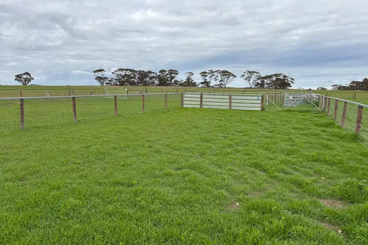 Fourth view of Homely rural property listing, Lot 4 Poochera-Port Kenny Road, Chandada SA 5680