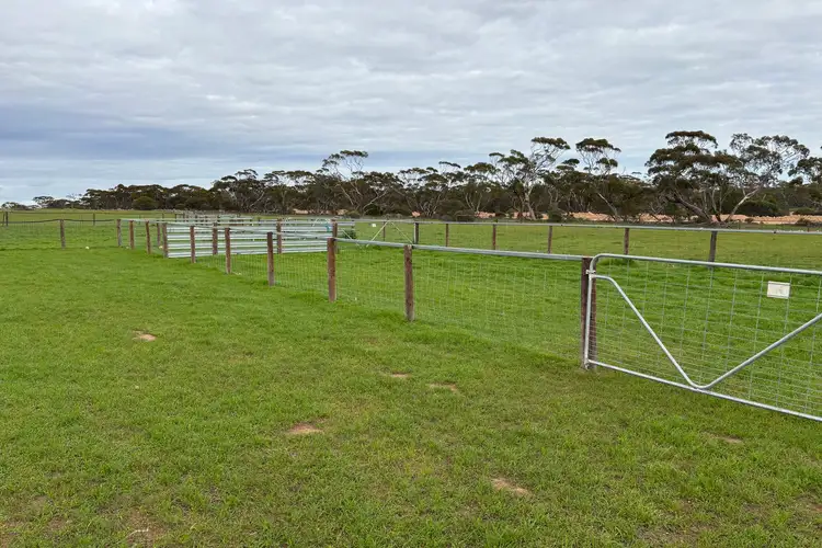 Fifth view of Homely rural property listing, Lot 4 Poochera-Port Kenny Road, Chandada SA 5680