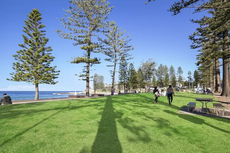 Sixth view of Homely apartment listing, 8/109 Pacific Parade, Dee Why NSW 2099