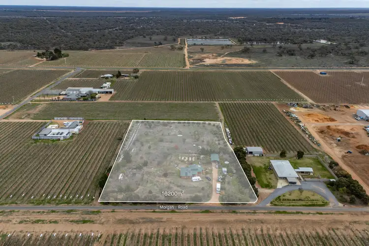 Second view of Homely house listing, 21 Morgan Road, Euston NSW 2737