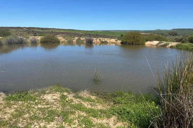 Fourth view of Homely rural property listing, Lot 55 Ahern Place, Hickety WA 6532