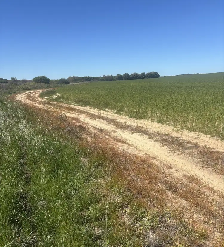 Sixth view of Homely rural property listing, Lot 55 Ahern Place, Hickety WA 6532