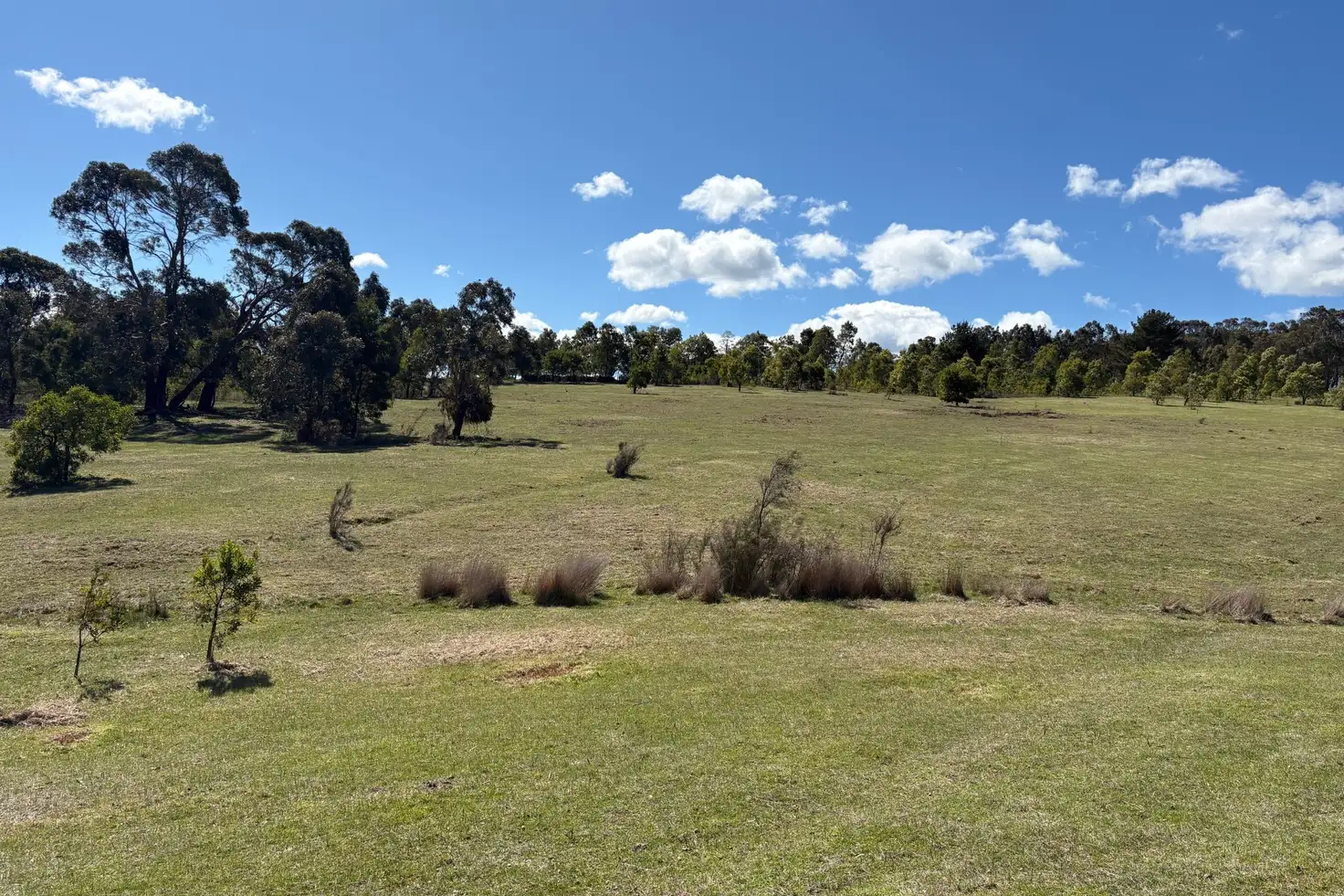 Main view of Homely land listing, 537 Staffordshire Reef Road, Staffordshire Reef VIC 3351