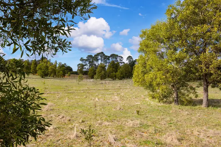 Fifth view of Homely land listing, 543 Staffordshire Reef Road, Staffordshire Reef VIC 3351