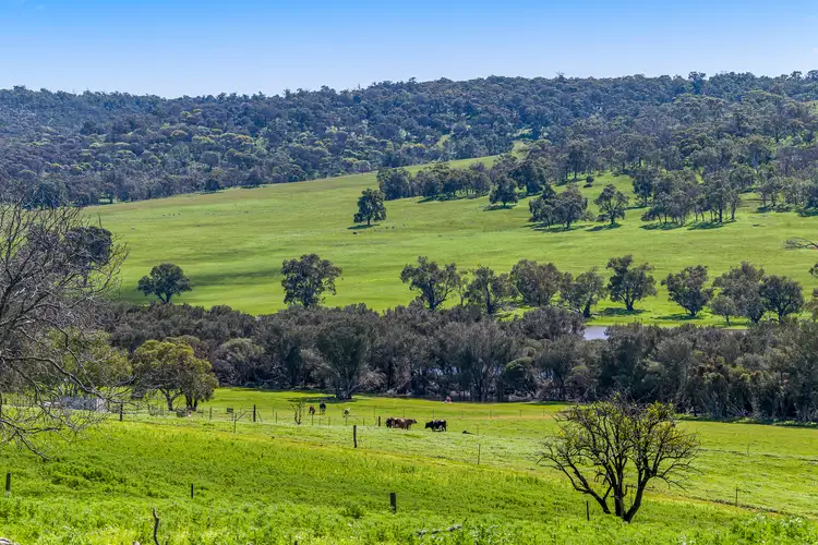 Fourth view of Homely rural property listing, 140 Toy Road, Bindoon WA 6502