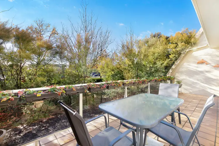 Fifth view of Homely apartment listing, 20a/17 Chandler Street, Belconnen ACT 2617