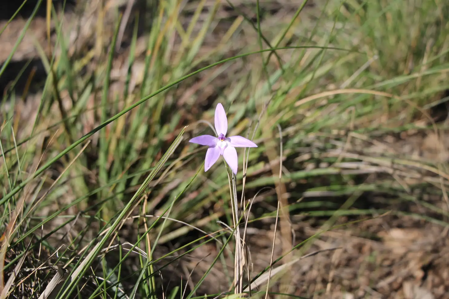 Main view of Homely land listing, Address available on request