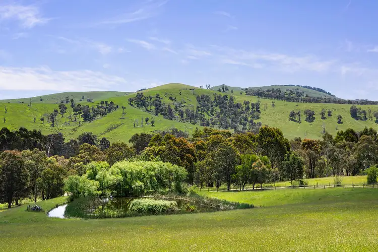 Fourth view of Homely house listing, 3982 Melba Highway, Glenburn VIC 3717