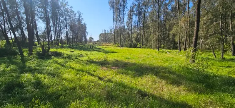 Main view of Homely house listing, 294 Catherine Fields Road, Catherine Field NSW 2557
