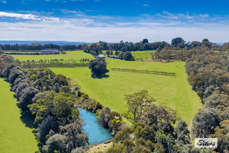 Main view of Homely rural property listing, 323 Forest Road, Kulnura NSW 2250