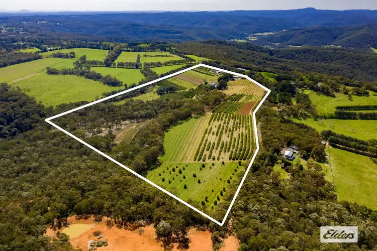 Second view of Homely rural property listing, 323 Forest Road, Kulnura NSW 2250