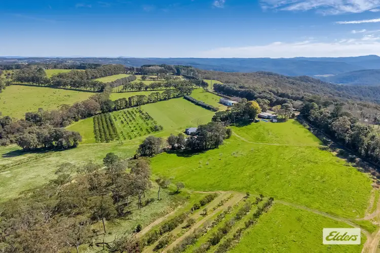 Fifth view of Homely rural property listing, 323 Forest Road, Kulnura NSW 2250